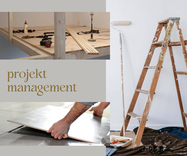 projekt management